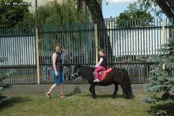 Zapraszamy na Rodzinny zawrót głowy. Atrakcje na miejskim stadionie