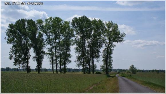 KTR Na Siodełku w maurzyckim skansenie