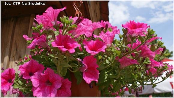 KTR Na Siodełku w maurzyckim skansenie