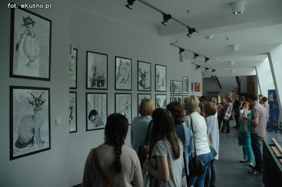 Zwierzyna w ilustracjach. Czekamy na książkę