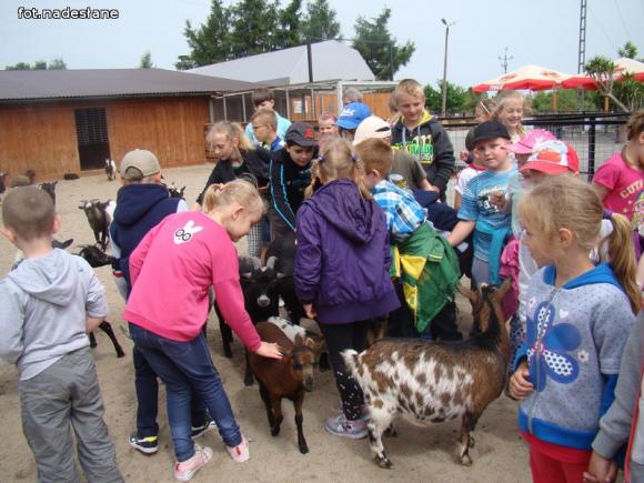 Nietypowa lekcja przyrody dla dzieci ze Strzegocina