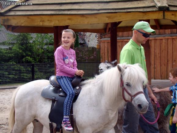 Nietypowa lekcja przyrody dla dzieci ze Strzegocina