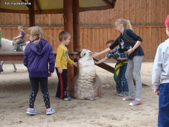 Nietypowa lekcja przyrody dla dzieci ze Strzegocina