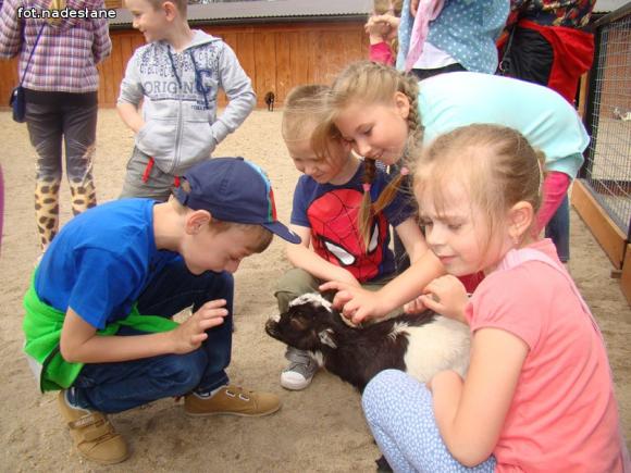 Nietypowa lekcja przyrody dla dzieci ze Strzegocina