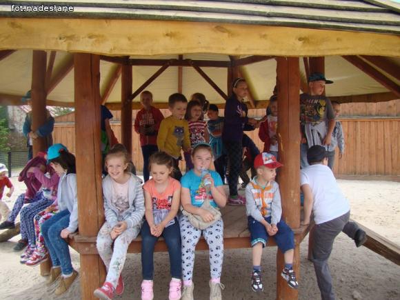 Nietypowa lekcja przyrody dla dzieci ze Strzegocina