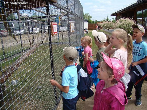 Nietypowa lekcja przyrody dla dzieci ze Strzegocina