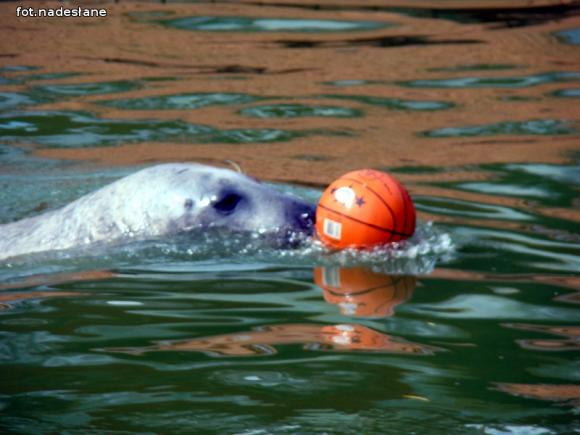 Nietypowa lekcja przyrody dla dzieci ze Strzegocina