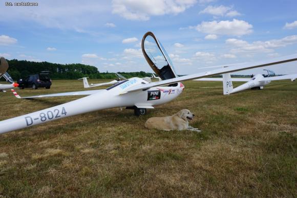 Łukasz Wójcik Wicemistrzem Europy