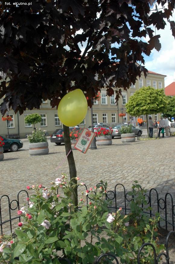 Książki przewietrzone. Trwa rajd Odjazdowy Bibliotekarz