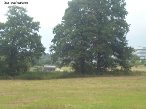 Jaką substancję wylano dziś obok Ochni?