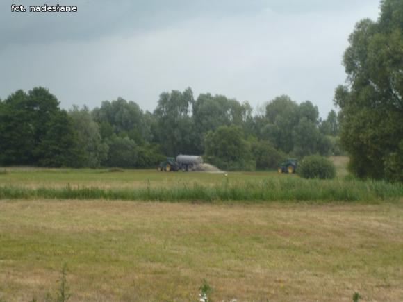 Jaką substancję wylano dziś obok Ochni?