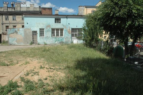 Czytelnicy pytają: Kiedy miasto naprawdę zadba o zieleń?