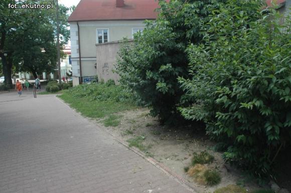 Czytelnicy pytają: Kiedy miasto naprawdę zadba o zieleń?