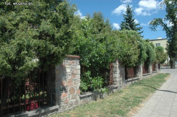 Czytelnicy pytają: Kiedy miasto naprawdę zadba o zieleń?