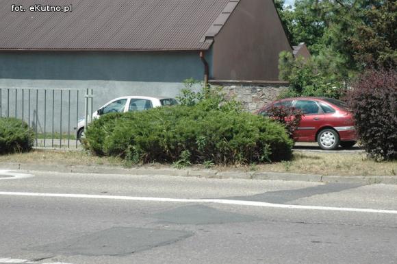 Czytelnicy pytają: Kiedy miasto naprawdę zadba o zieleń?