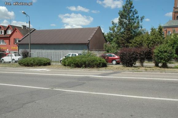 Czytelnicy pytają: Kiedy miasto naprawdę zadba o zieleń?