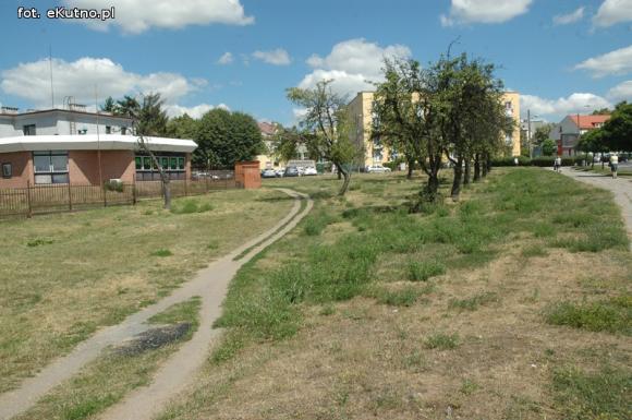 Czytelnicy pytają: Kiedy miasto naprawdę zadba o zieleń?