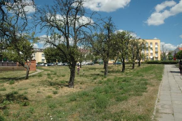 Czytelnicy pytają: Kiedy miasto naprawdę zadba o zieleń?