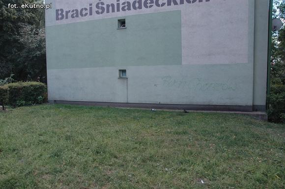 Czytelnicy pytają: Kiedy miasto naprawdę zadba o zieleń?