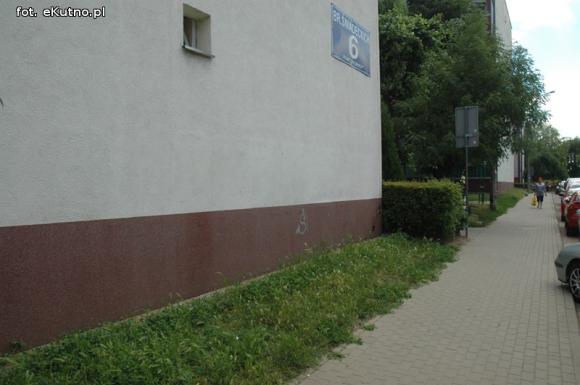 Czytelnicy pytają: Kiedy miasto naprawdę zadba o zieleń?