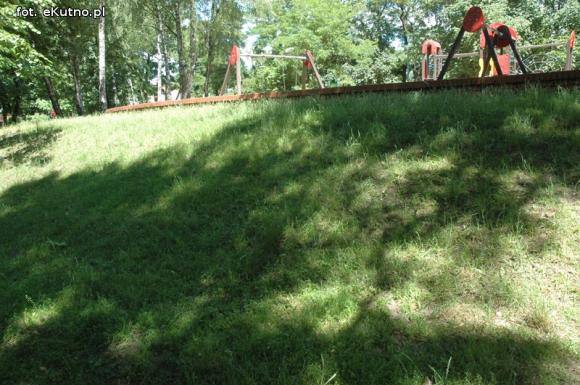 Czytelnicy pytają: Kiedy miasto naprawdę zadba o zieleń?