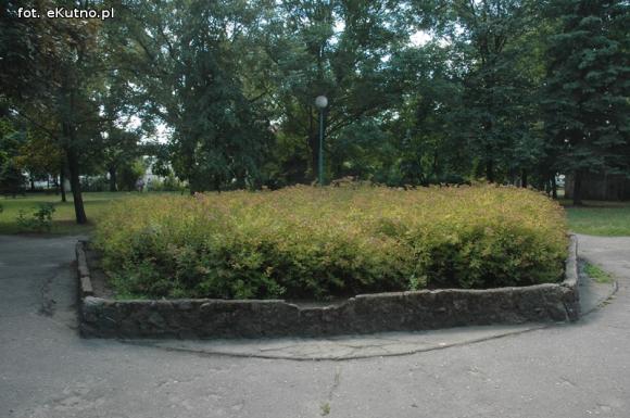 Czytelnicy pytają: Kiedy miasto naprawdę zadba o zieleń?