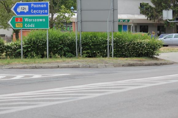 Czytelnicy piszą: To krzaczory nie żywopłoty