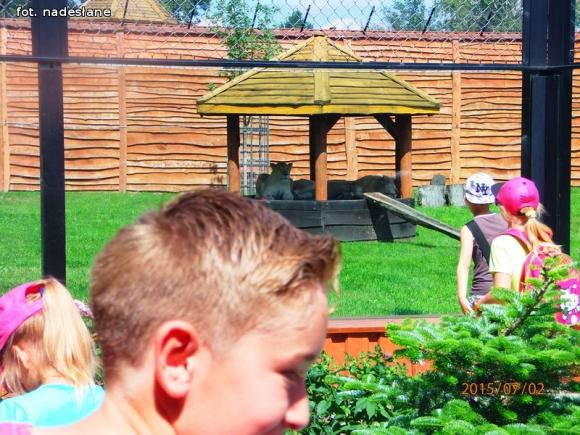 Pierwszy tydzień zajęć wakacyjnych w Żychlińskim Domu Kultury