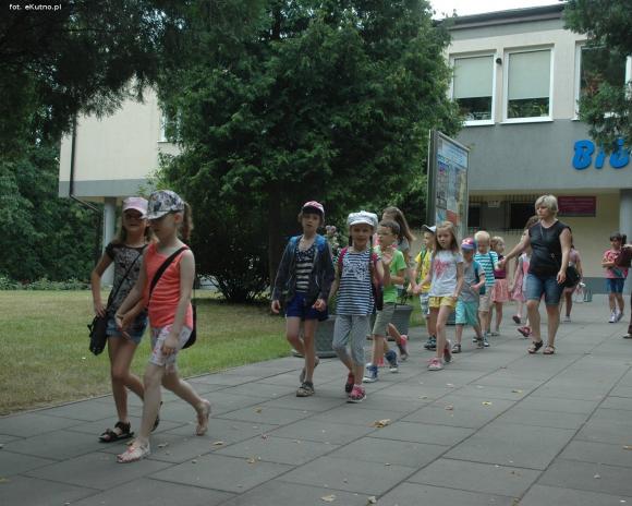 Wakacje w Kutnie: Malowanie wełną, zielnik i zasady bezpieczeństwa