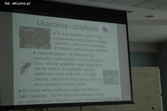 Wakacje w Kutnie: Malowanie wełną, zielnik i zasady bezpieczeństwa