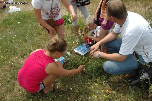 Wakacje w Kutnie: Malowanie wełną, zielnik i zasady bezpieczeństwa