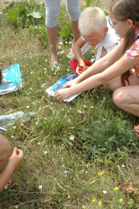 Wakacje w Kutnie: Malowanie wełną, zielnik i zasady bezpieczeństwa