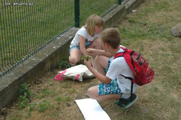 Wakacje w Kutnie: Malowanie wełną, zielnik i zasady bezpieczeństwa