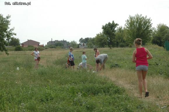 Wakacje w Kutnie: Malowanie wełną, zielnik i zasady bezpieczeństwa