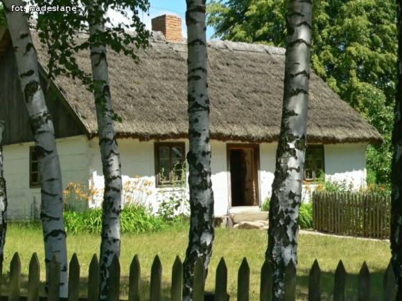 Letnie półkolonie w MDK w Kutnie