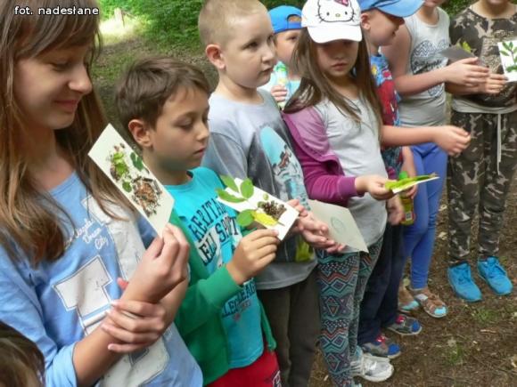 Letnie półkolonie w MDK w Kutnie
