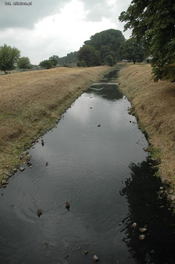 Trwa oczyszczanie Ochni