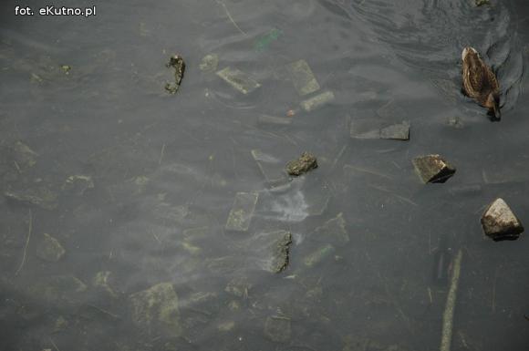 Trwa oczyszczanie Ochni