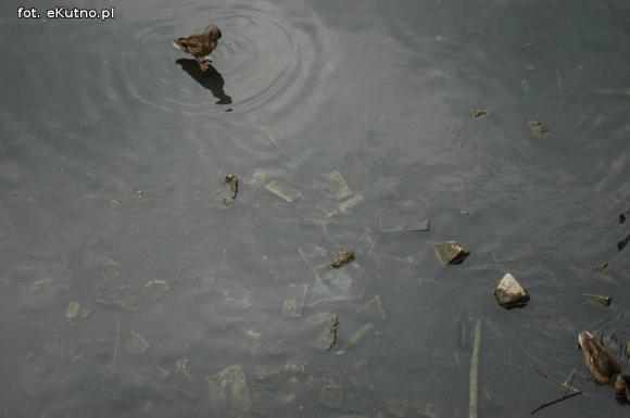 Trwa oczyszczanie Ochni