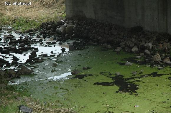 Trwa oczyszczanie Ochni