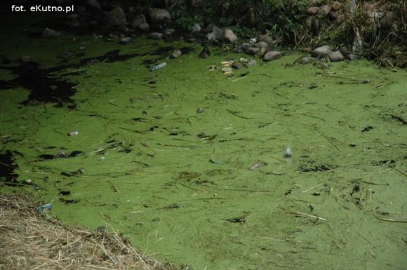 Trwa oczyszczanie Ochni