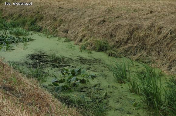 Trwa oczyszczanie Ochni