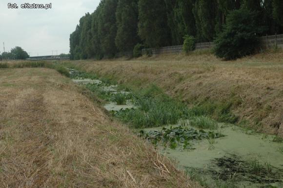 Trwa oczyszczanie Ochni