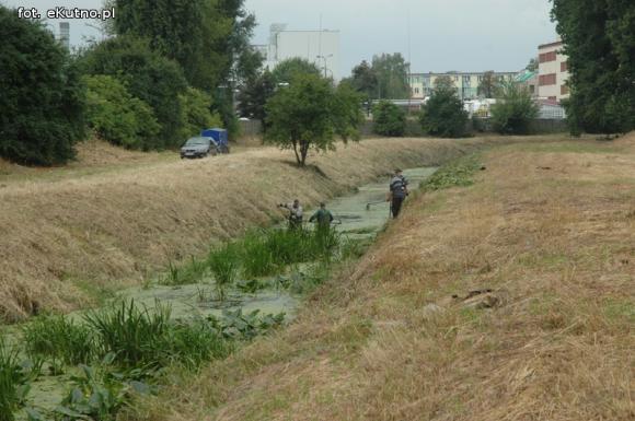 Trwa oczyszczanie Ochni