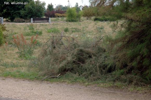Czytelnicy piszą: Susza w Parku nad Ochnią