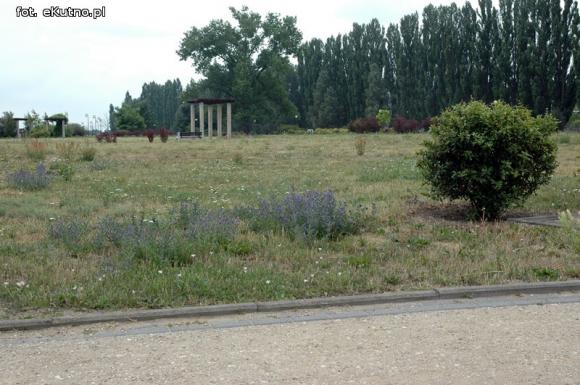 Czytelnicy piszą: Susza w Parku nad Ochnią