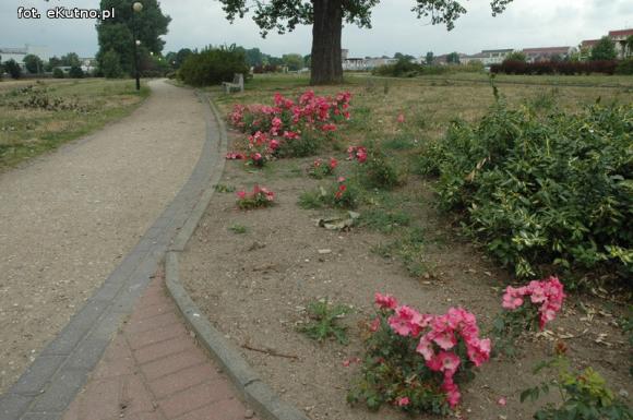 Czytelnicy piszą: Susza w Parku nad Ochnią