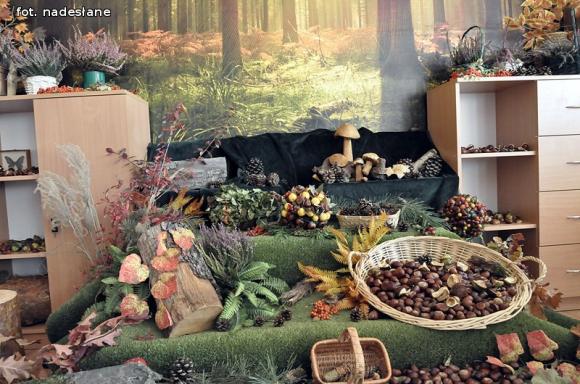 SP NR 6 z nową ekopracownią