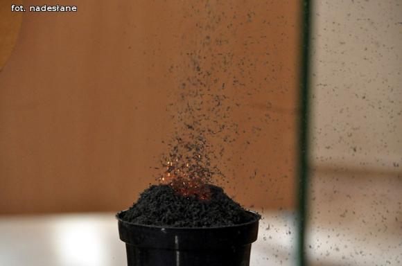 SP NR 6 z nową ekopracownią