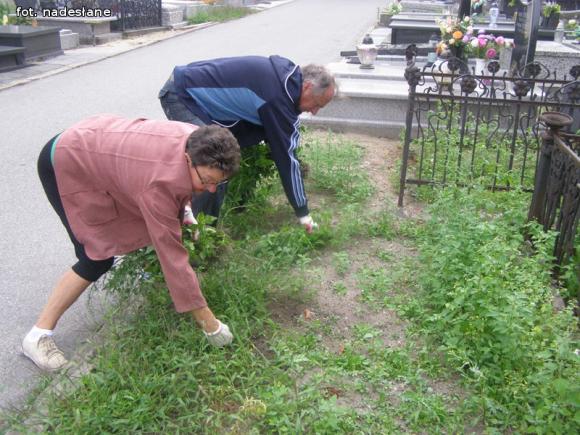 Kwesta na restaurację starych, zabytkowych grobów w Kutnie